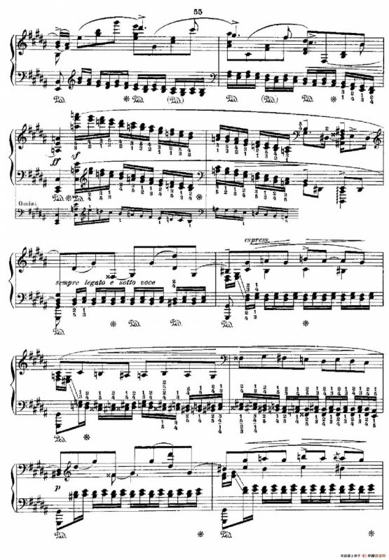 53首改编练习曲（No.36）