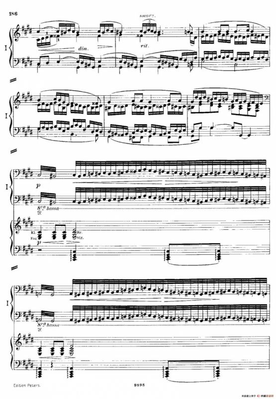 流浪者幻想曲（双钢琴）