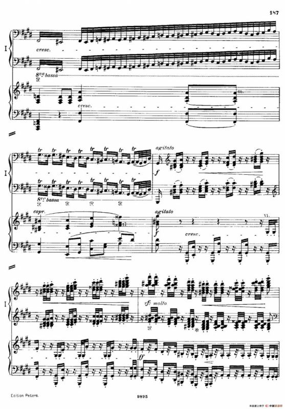 流浪者幻想曲（双钢琴）