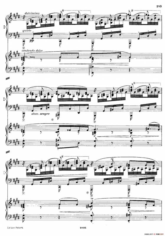 流浪者幻想曲（双钢琴）