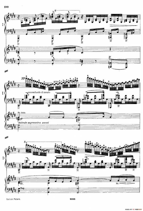 流浪者幻想曲（双钢琴）