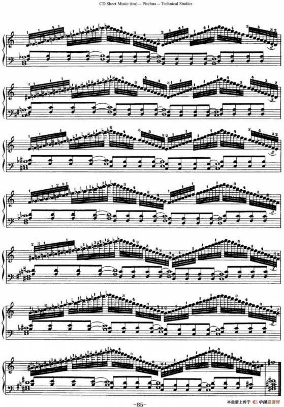 Technical Studies 60 Progressive Exercises （60首钢琴循序渐进练习曲 P81——90）