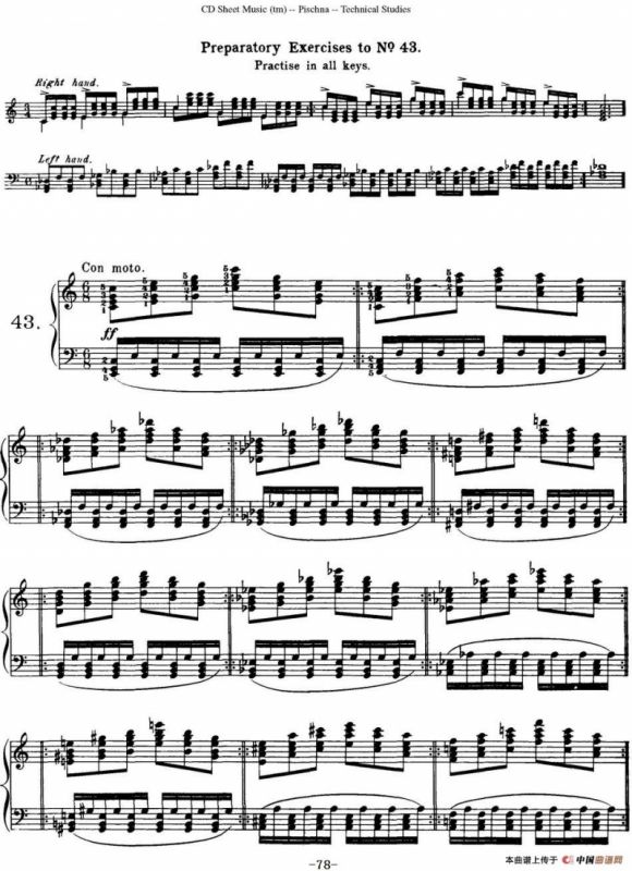 Technical Studies 60 Progressive Exercises （60首钢琴循序渐进练习曲 P71——80）