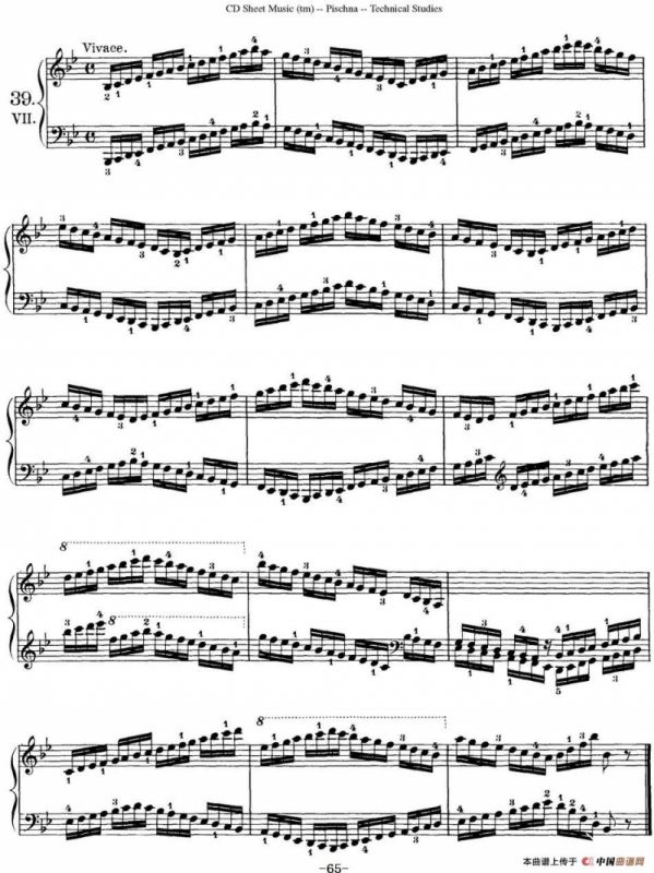 Technical Studies 60 Progressive Exercises （60首钢琴循序渐进练习曲 P61——70）