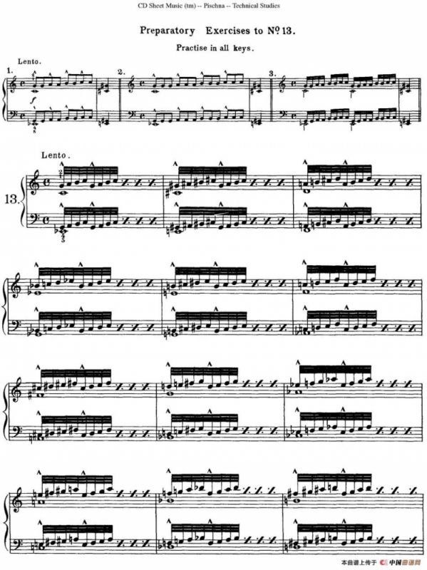 Technical Studies 60 Progressive Exercises （60首钢琴循序渐进练习曲 P21——30）