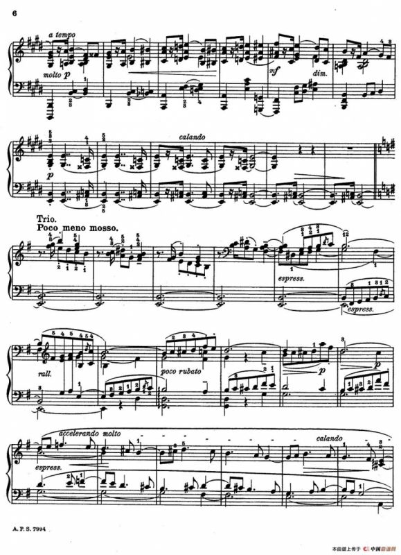 2首玛祖卡舞曲（2）（Two Mazurkas Op.28 No.2）