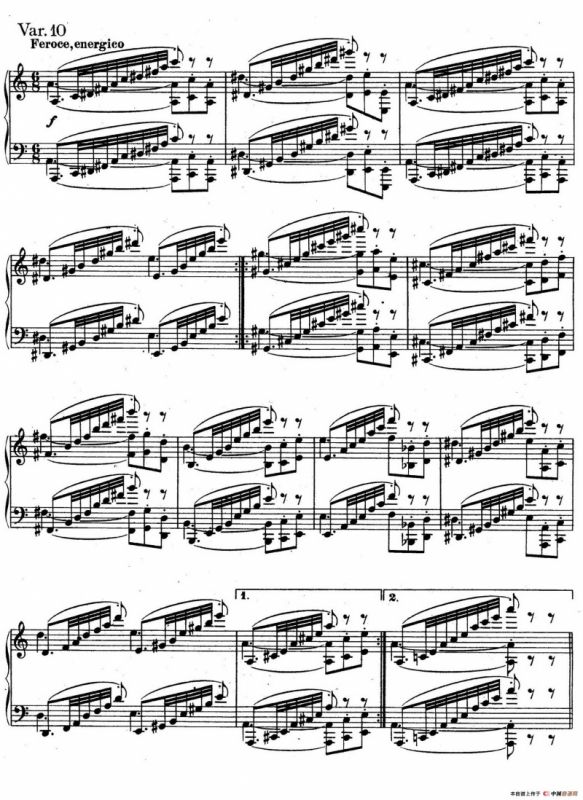 帕格尼尼主题变奏曲（Op.35 Livre2）