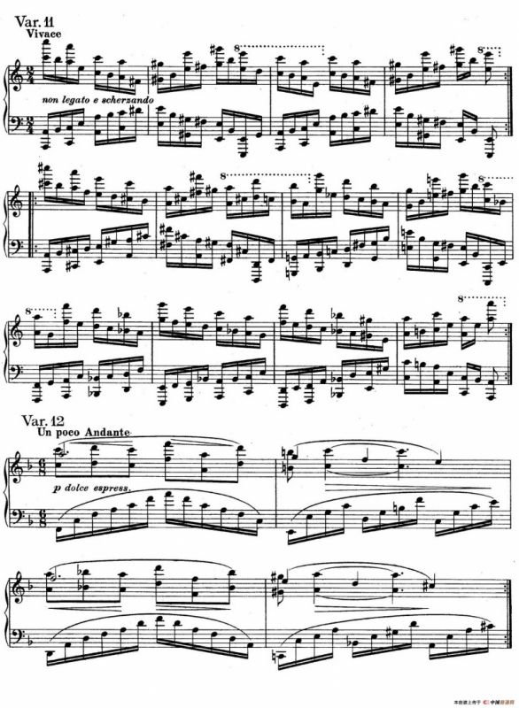 帕格尼尼主题变奏曲（Op.35 Livre2）