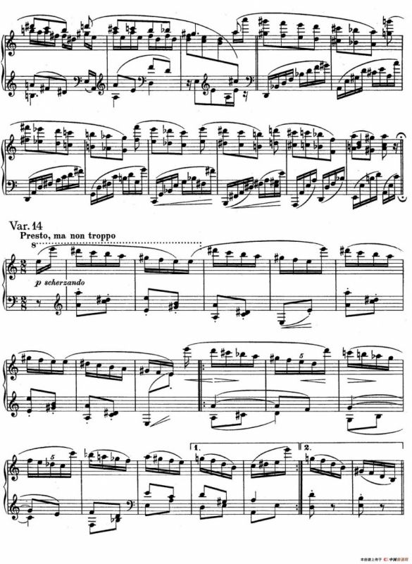 帕格尼尼主题变奏曲（Op.35 Livre2）