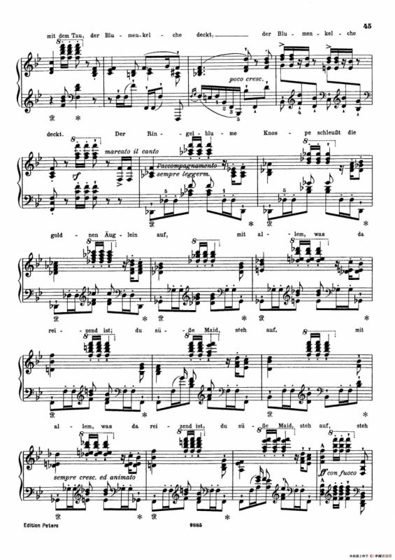 Standchen von Shakespeare （听、听，云雀）