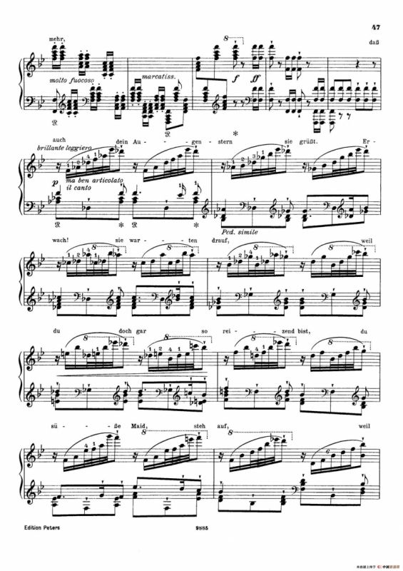 Standchen von Shakespeare （听、听，云雀）