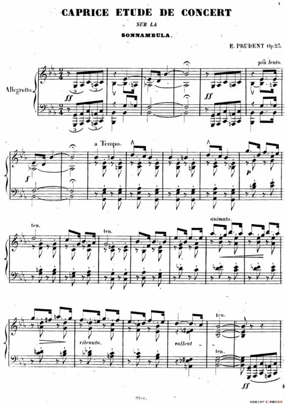 Caprice Etude de Concert