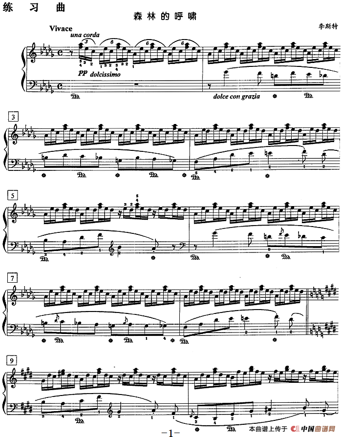 钢琴教程第八级 练习曲（森林的呼啸）