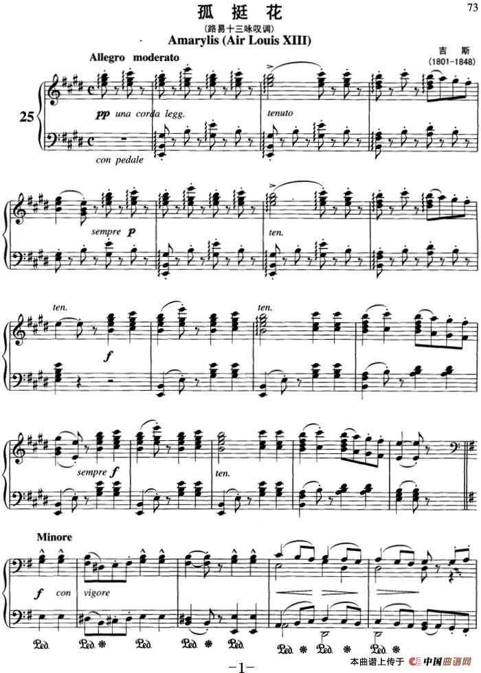 不可不弹的世界钢琴名曲：孤挺花（路易十三咏叹调）