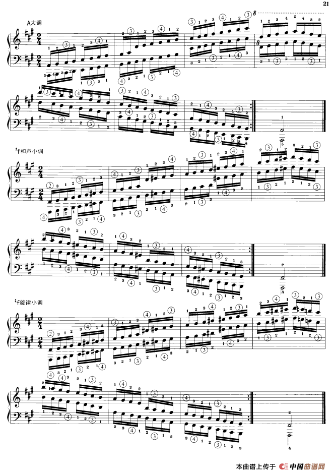 钢琴音阶练习：同向四个八度