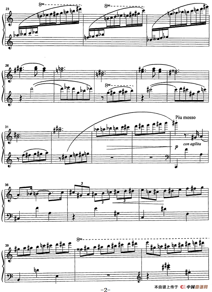 克劳斯的鸟（雨燕）