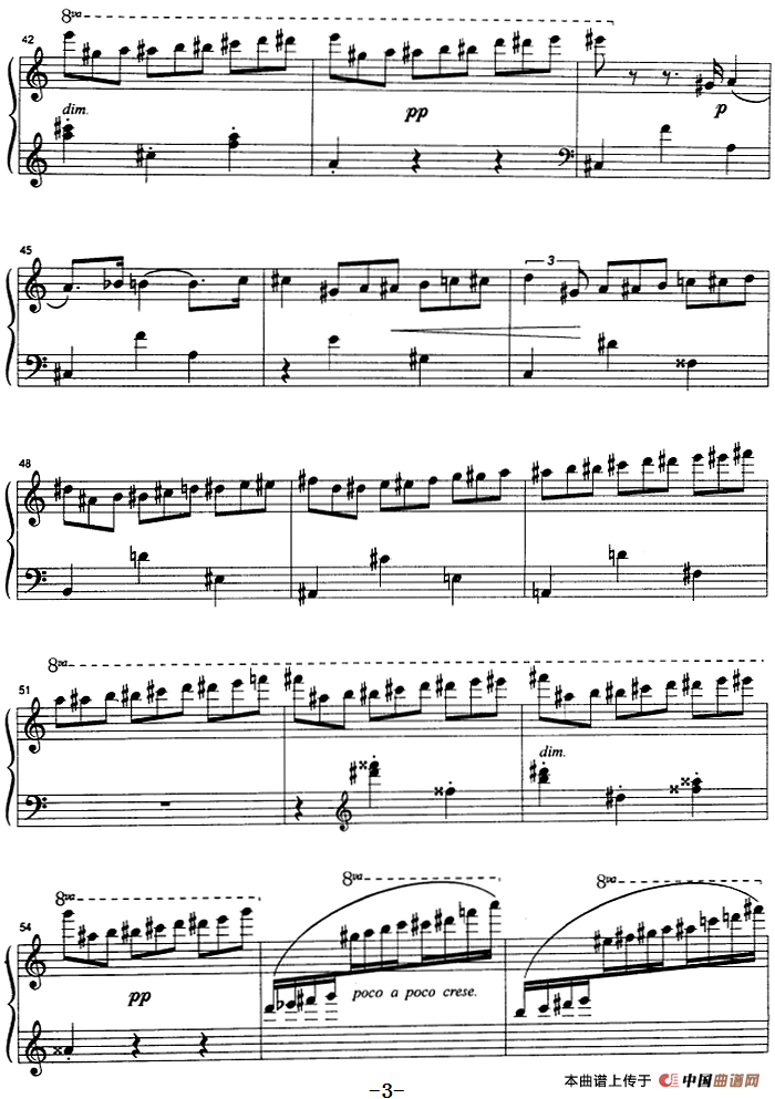 克劳斯的鸟（雨燕）