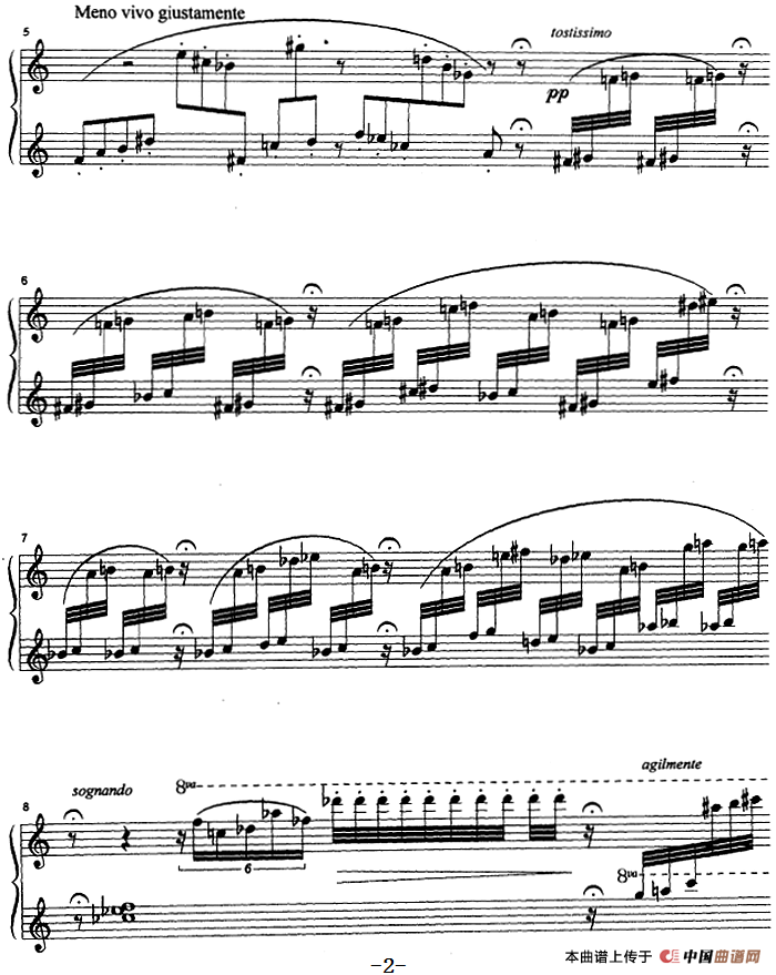 克劳斯的鸟（小鹦鹉）