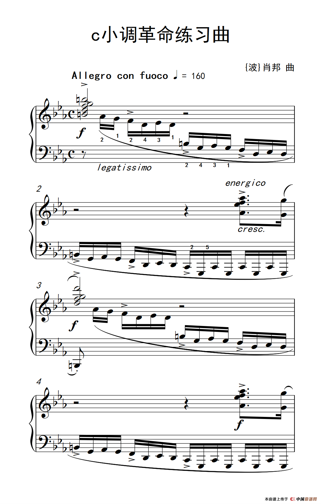 c小调革命练习曲