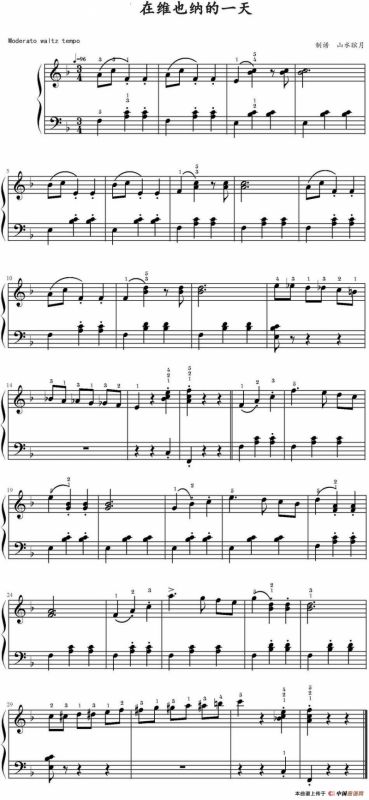 在维也纳的一天