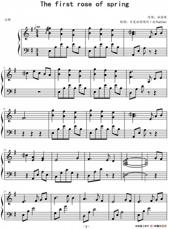 春天第一朵玫瑰