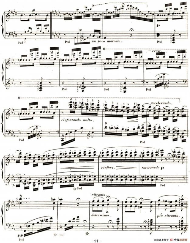 李斯特 旅游岁月 第二集遗补 威尼斯和拿波里 S.162 No.3 塔兰泰拉舞曲