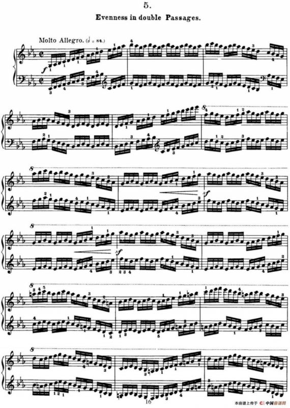 50首车尔尼Op.740钢琴手指灵巧技术练习曲（NO.5）