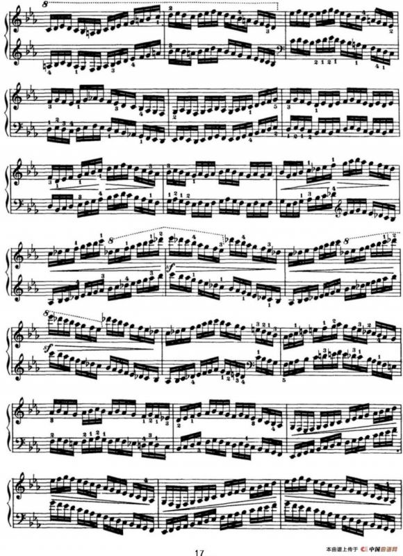 50首车尔尼Op.740钢琴手指灵巧技术练习曲（NO.5）