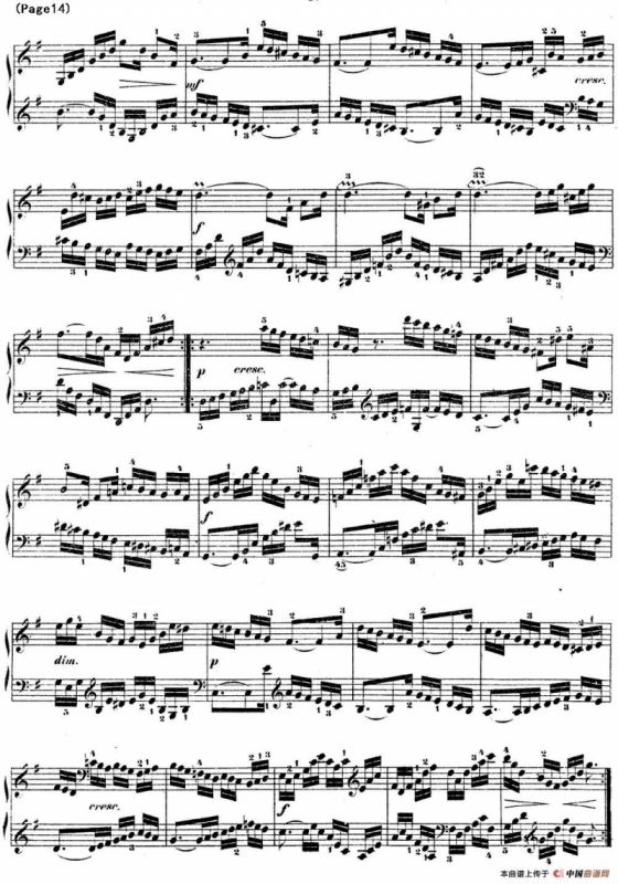 哥德堡变奏曲 巴赫 Goldberg Variationen BWV988