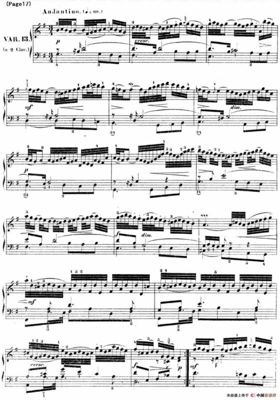 哥德堡变奏曲 巴赫 Goldberg Variationen BWV988
