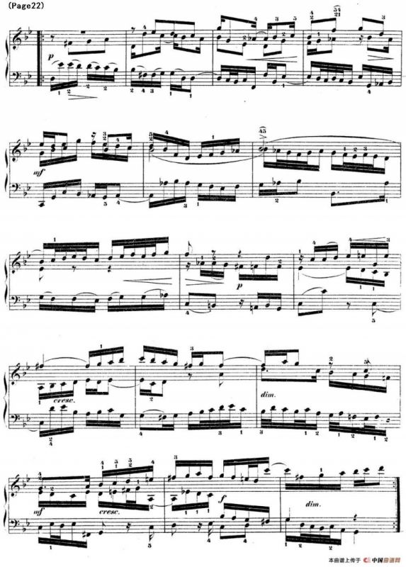 哥德堡变奏曲 巴赫 Goldberg Variationen BWV988