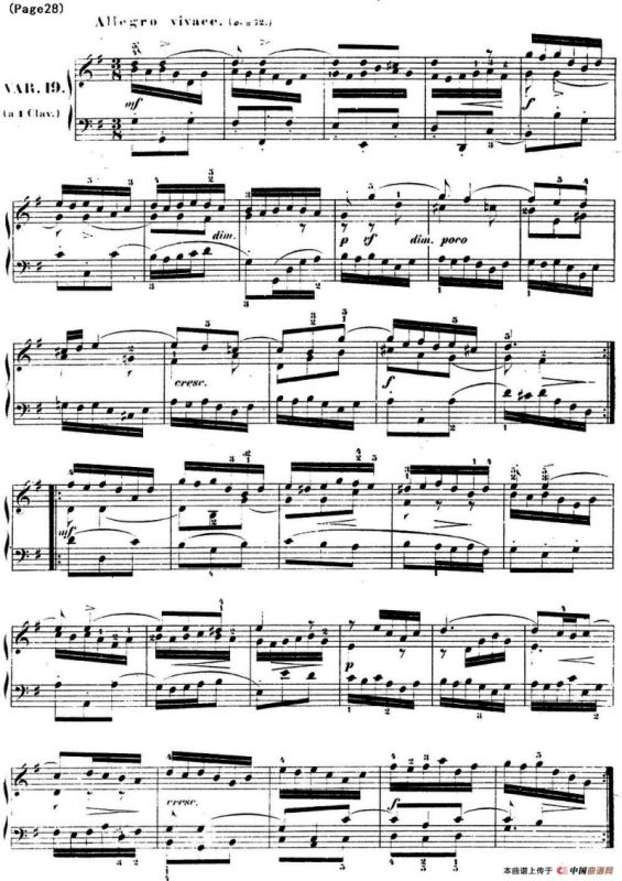 哥德堡变奏曲 巴赫 Goldberg Variationen BWV988