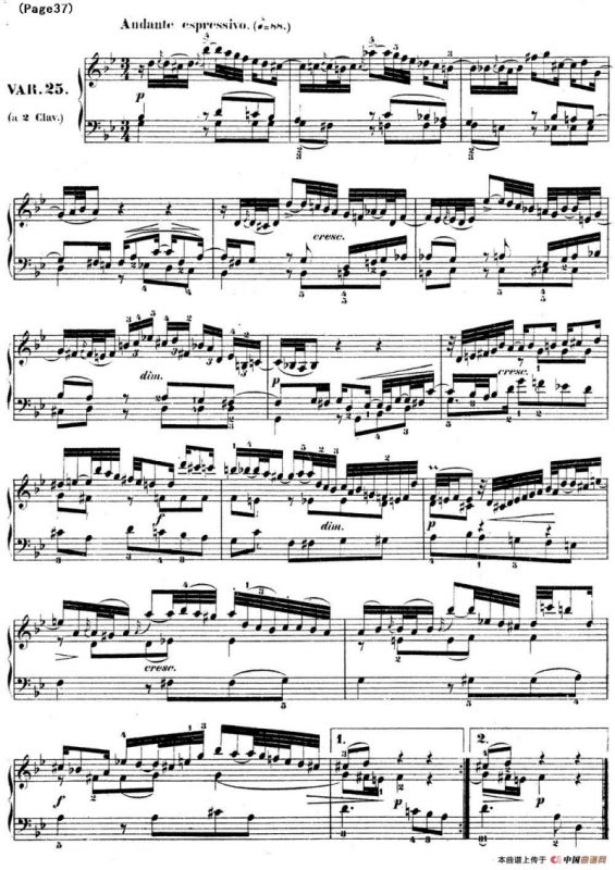 哥德堡变奏曲 巴赫 Goldberg Variationen BWV988