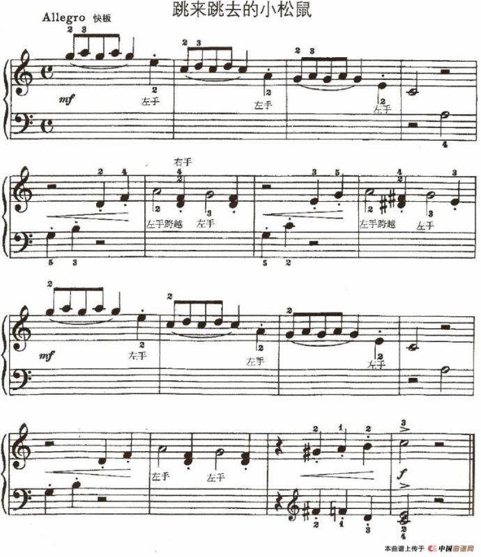 跳来跳去的小松鼠