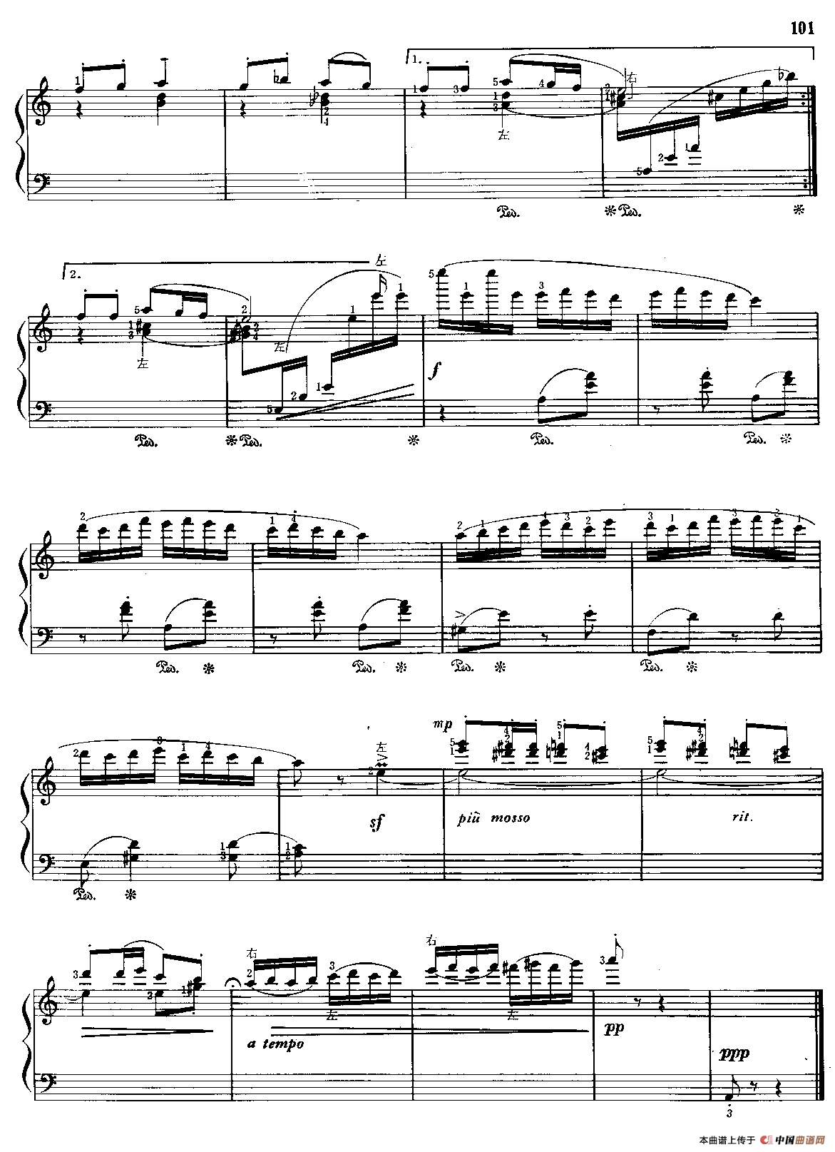 蝴蝶舞（周勤如编曲版）