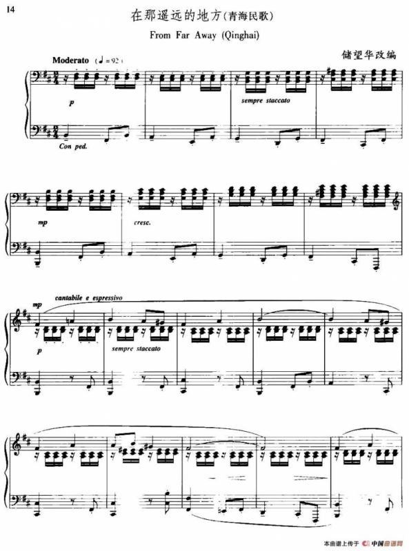 在那遥远的地方（储望华改编版）