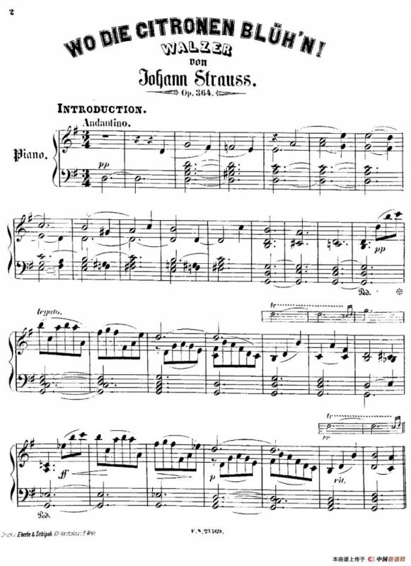 柠檬树花开的地方圆舞曲