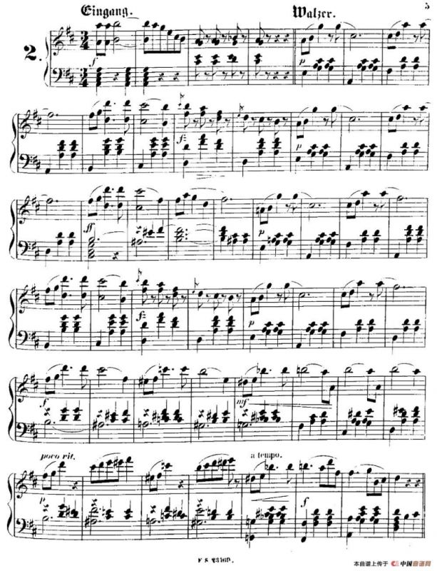 柠檬树花开的地方圆舞曲