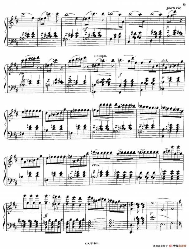 柠檬树花开的地方圆舞曲