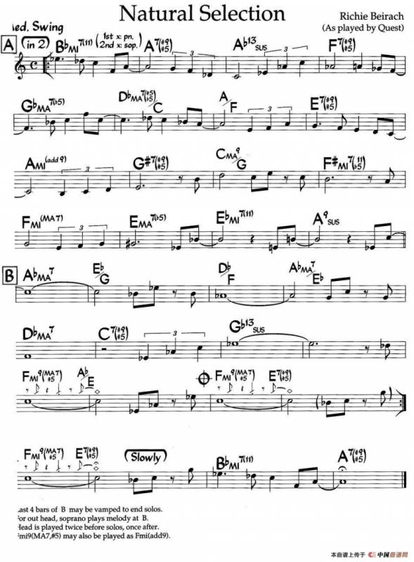 Natural Selection（爵士钢琴曲）