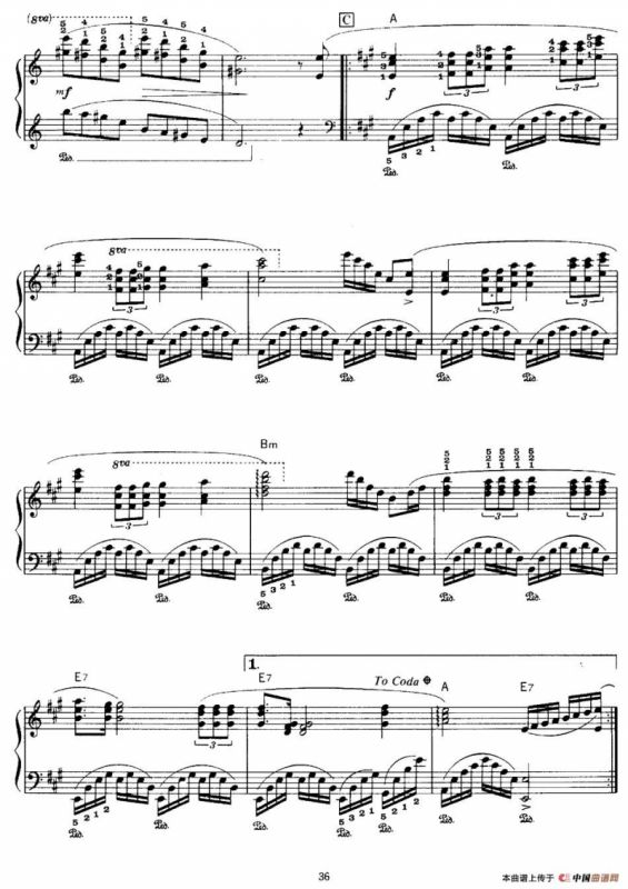 Concerto Des Etoiles（星空协奏曲）