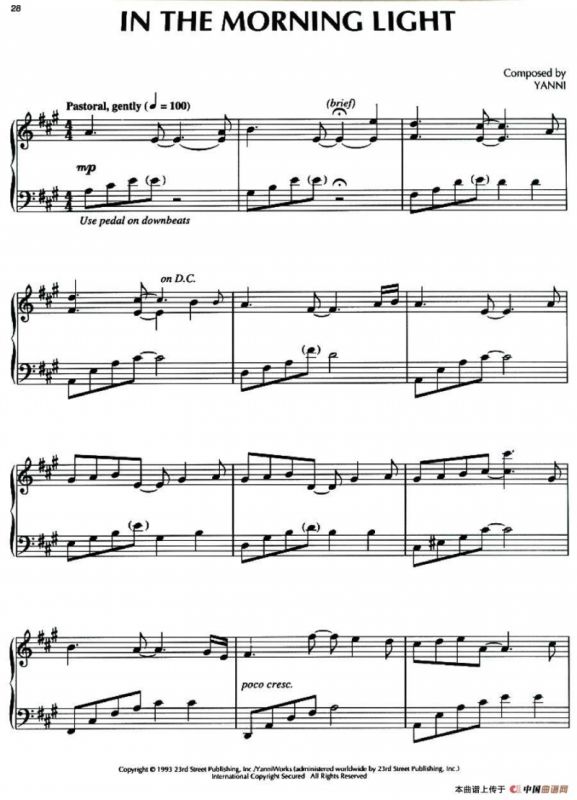 In the Morning Light