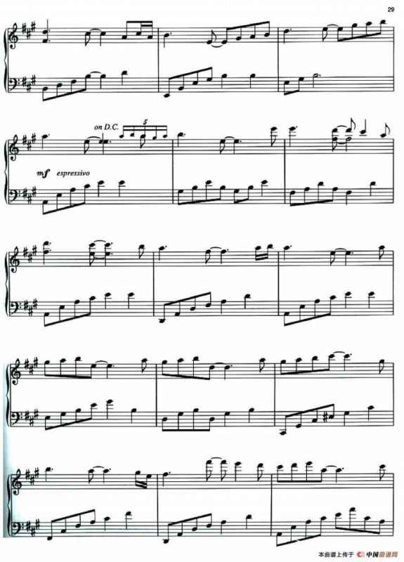 In the Morning Light