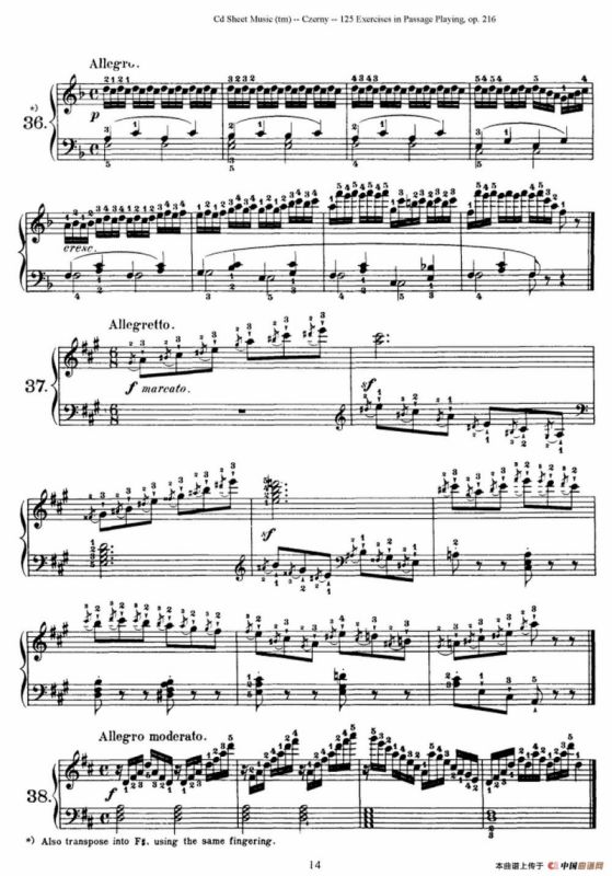 125 Exercises in Passage Playing Op.261（车尔尼125首钢琴短乐句练习曲（22——41））