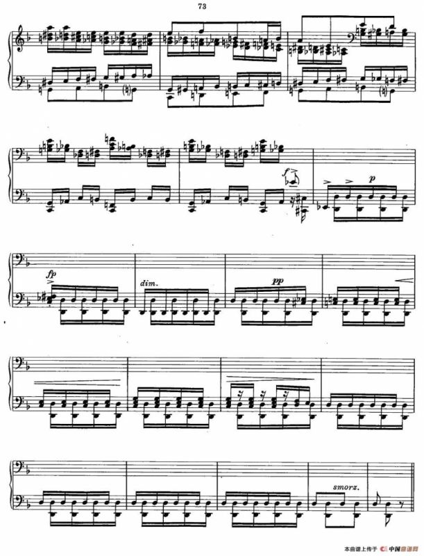 TOKKATA（托卡他）