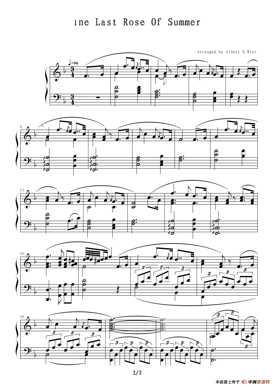 夏日最后一朵玫瑰