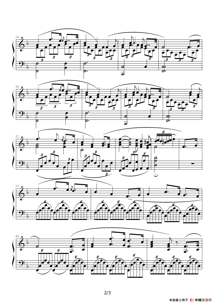 夏日最后一朵玫瑰