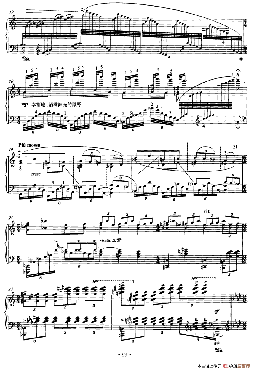 在那遥远的地方（张朝编曲版）