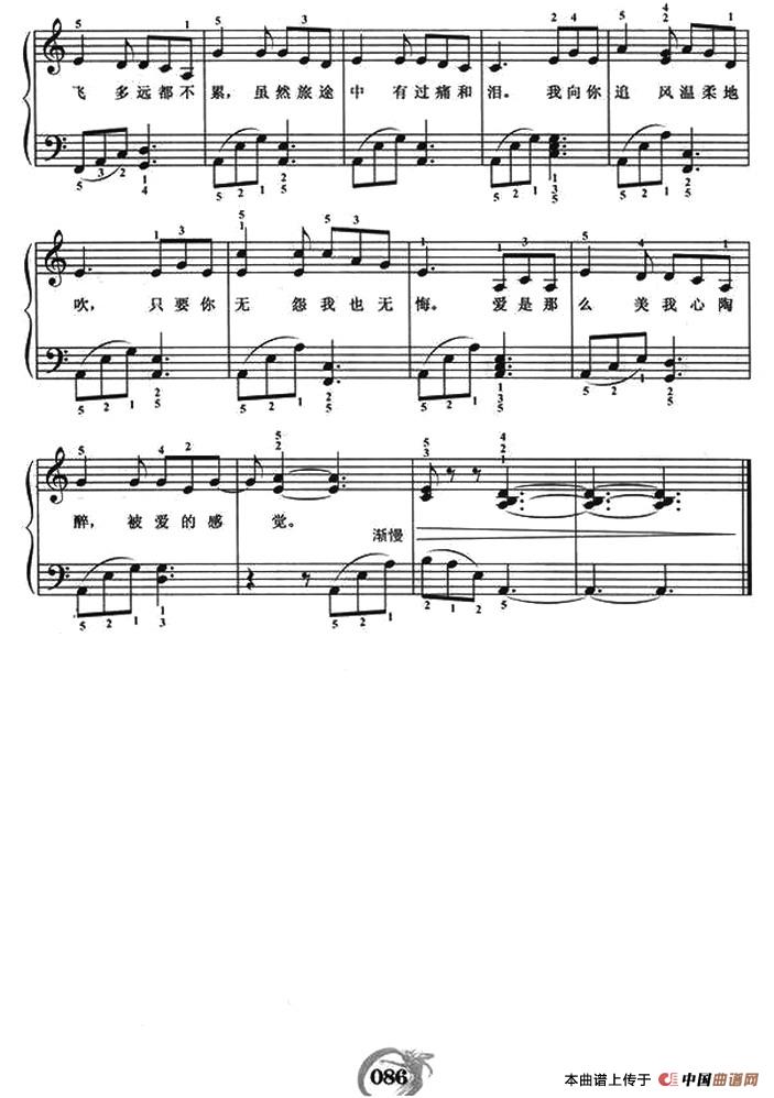 雨蝶（弹唱谱）