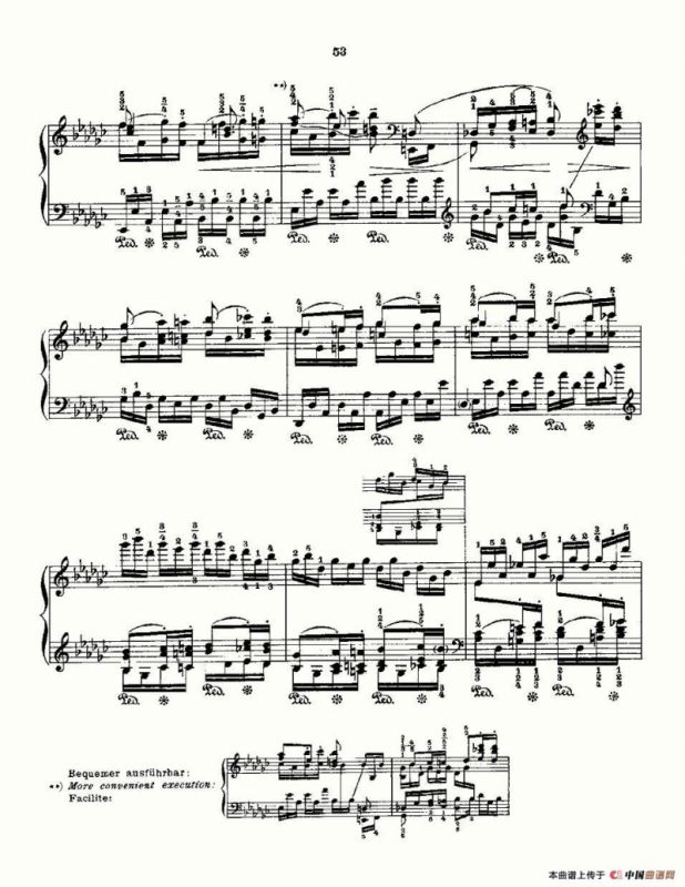 肖邦《练习曲》Fr.Chopin Op.10 No5 & Op.25 No9